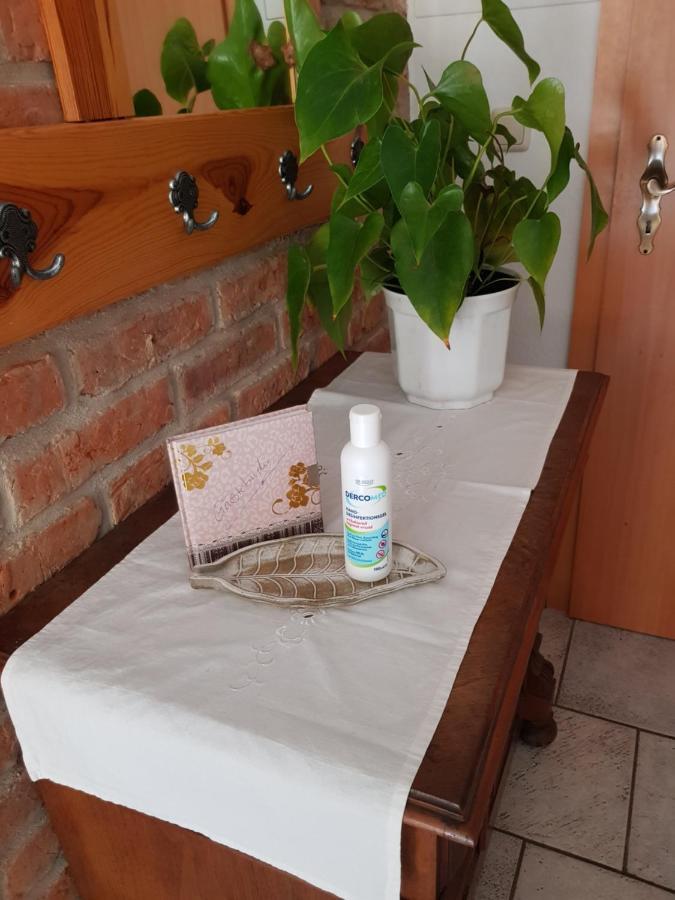 Ferienwohnung Burgenblick Thale Eksteriør billede